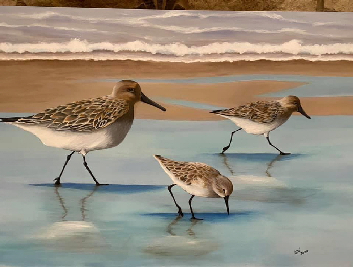 Shore Birds