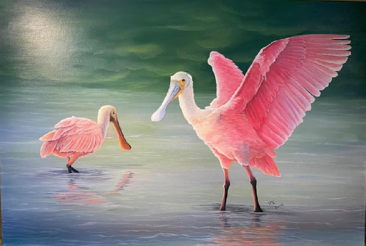 Spoonbills