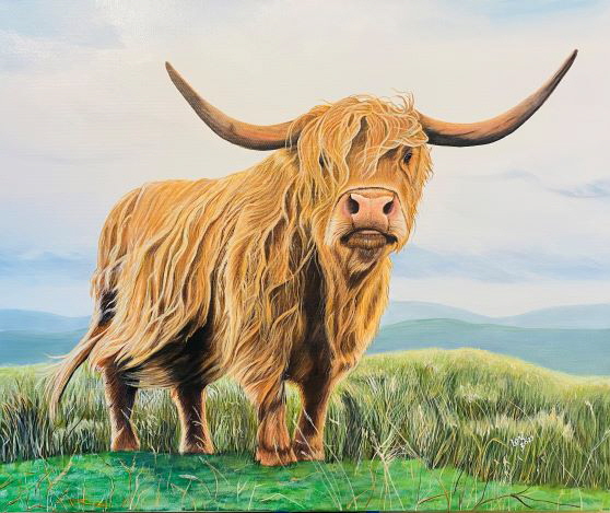 Harry the Highland